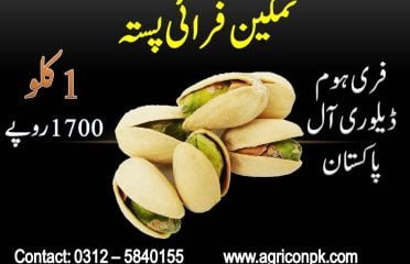 AgriconPK