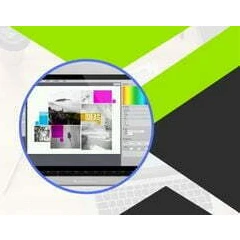 The Design Firm – TDF