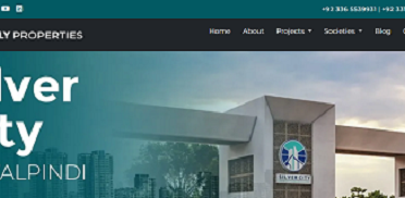 Ally Properties