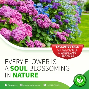Faizan Nursery Farms