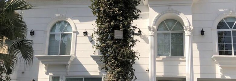 Institute Cosmetique | Dermatologist | Laser | Best Hair Transplant | Liposuction & Cosmetic Surgery Center Lahore Pakistan