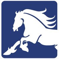 Stallion Textile