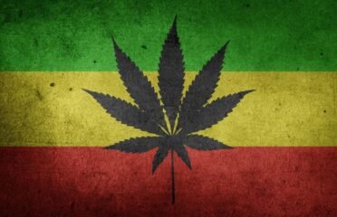 WeedLifestyles