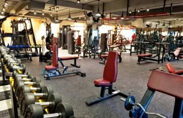 FitLytics Gym