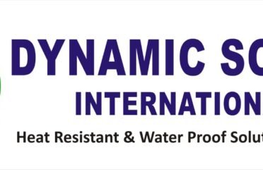 Dynamic Solar International