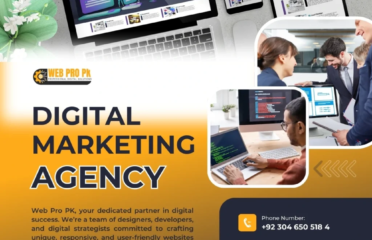 Web Pro Pk Website Designer and Developer in Peshawar