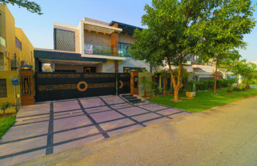 Syed Brothers Designer and Builder