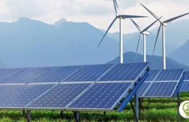 Rana Traders SOLAR Energy Kasur