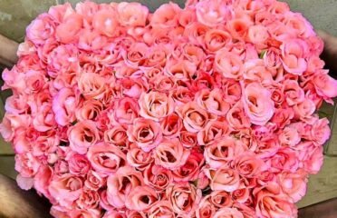 Flower Wala