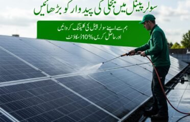 Solar Panel Clean
