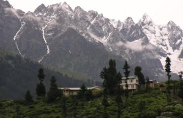 Pine Crest Kalam