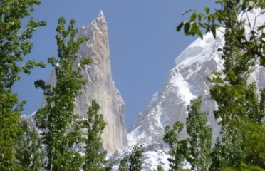 Golden Peak View Hotel