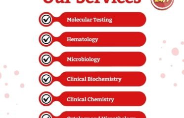 Hadi Lab Sargodha
